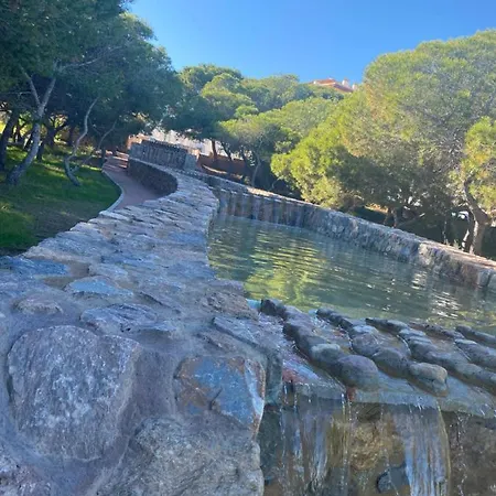 Pino Parquemar * La Mata (Torrevieja)