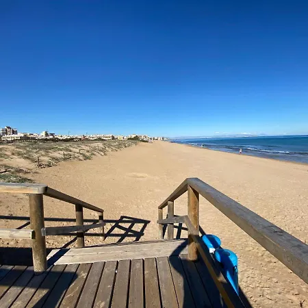 Pino Parquemar * La Mata (Torrevieja)