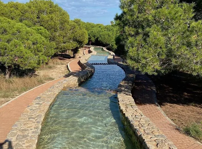 Pino Parquemar
